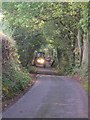 Hedge Trimming in Chancellors Lane!