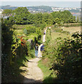 Elberry footpath, near Marridge Wood