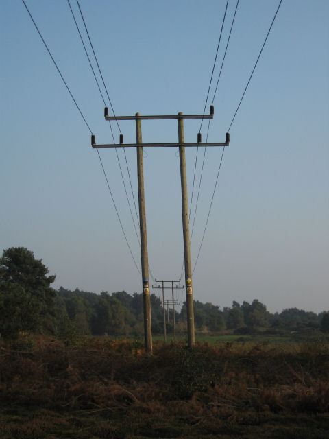 Power lines feeding Orford as they cross Tunstall Common