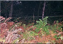 SK6263 : Western boundary fence of Center Parcs holiday village by Lynne Kirton