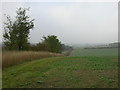 View from Milton Keynes Boundary Walk