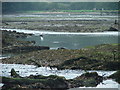 Mudflats, River Yealm