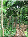 Kissing Gate, Plymouth - Yealmpton railway