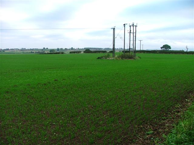 Array of Electricity Poles, Blue Barn Lane