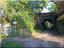 SO9239 : Horseshoe Railway Bridge, Bredon's Norton by Bob Embleton