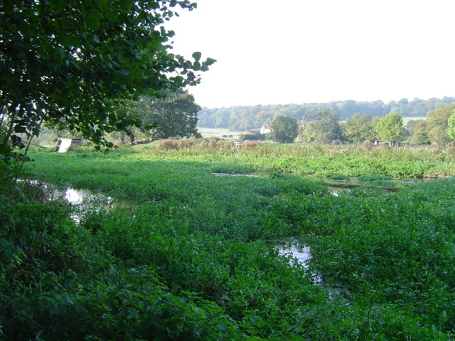 River Chess watercress beds