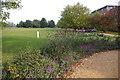 University Parks, Park Road, Oxford.