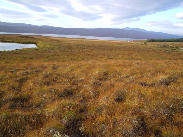 A view of Loch Shin