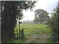 Footpath to Smisby