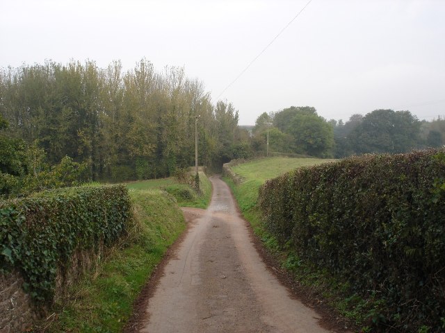 Lane to Aller Farm, west of Capton