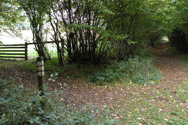 The Wardens Way in Guiting Wood