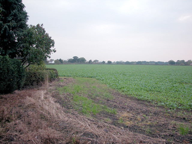 Cheshire farmland
