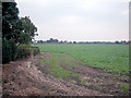 Cheshire farmland