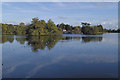 View east across Eastwell Park Lake