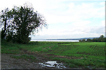 SE9921 : Looking towards the Humber by David Wright