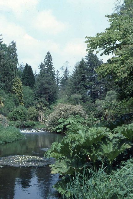 Annes Grove; the River Garden