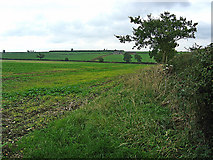 SK8420 : Farmland near Garthorpe by Kate Jewell