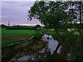 River Colne from "Newbridge"