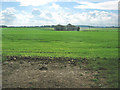 Farmland near Great Ponton