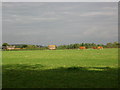 Farmland, Saltby Airfield