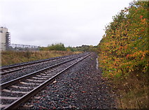 NZ2869 : Disused Railway by Weston Beggard