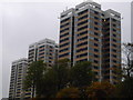 NZ2364 : The Most Visible Tower Blocks in Newcastle by MSX