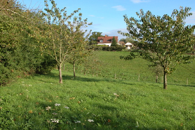 Herridge's Orchards