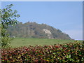 Crag on Court Hill, Palnackie