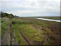 Saltmarsh on the river Dee