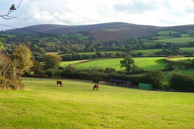 Fields near Corndon - Dartmoor