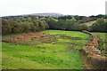 Fields near Batworthy - Devon