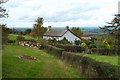 Willingstone farm - Moretonhampstead