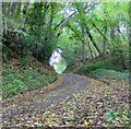 An Autumnal View of Mallions Lane, West Sussex