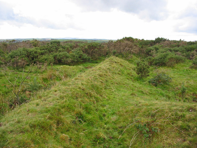 Ancient banks of Crowpound, St Neot, Cornwall