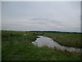 Borrowmoss Burn nr Wigtown from Borrowmoss Bridge