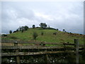 Hill Fort near Crossmichael