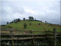 NX7465 : Hill Fort near Crossmichael by Kirsty Smith