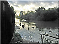 River Soar, Belgrave, Leicester