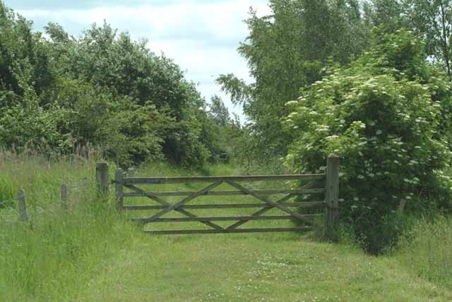 Gated path in Fosdyke nature reserve