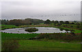 New Pond, Hamsey