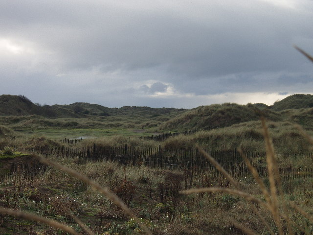 Inner dunes at The Warren