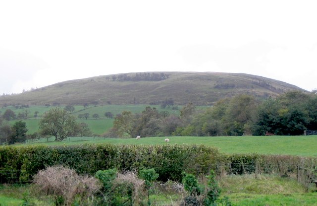 West slope of Fan Frynych