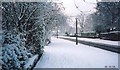 looking west along whitbarrow road, lymm