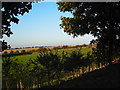 TA0807 : View from Searby Top Farm by Martyn Whiteley