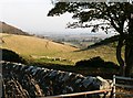 Gully and farmland by Logie