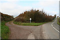 Cutcombe: Summerway Cross