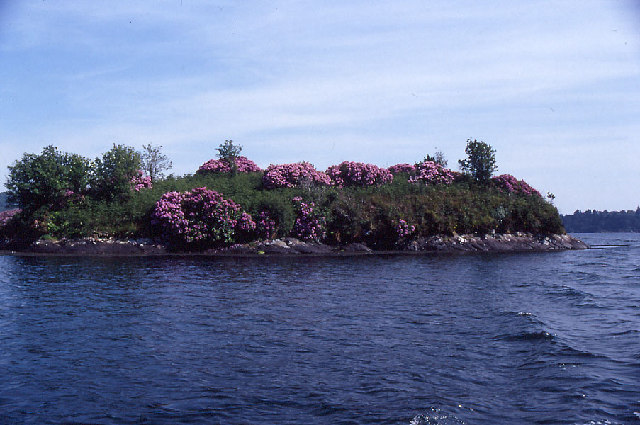 An island in Glengarriff Harbour.