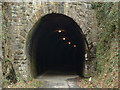 SS4523 : Tarka Trail: Landcross tunnel by Grant Sherman