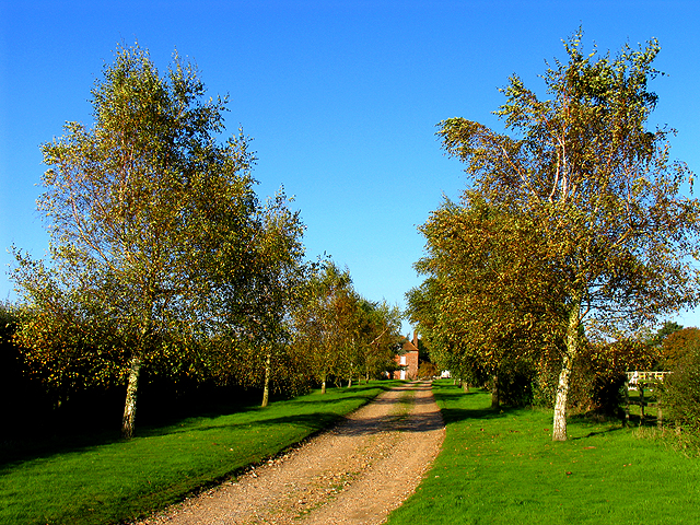 Byway leading to North Heath