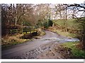 Ford near Hamsterley